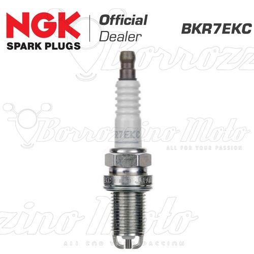 Candela ngk originale - candela,